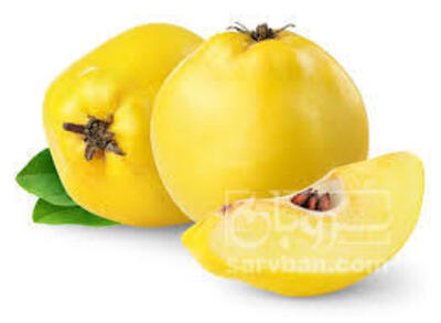 فروش به