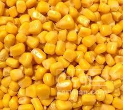 فروش ذرت دون شده