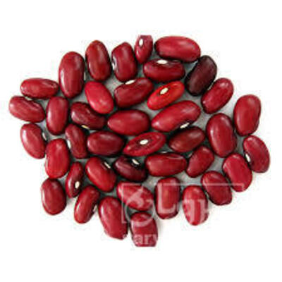 فروش لوبیا قرمز