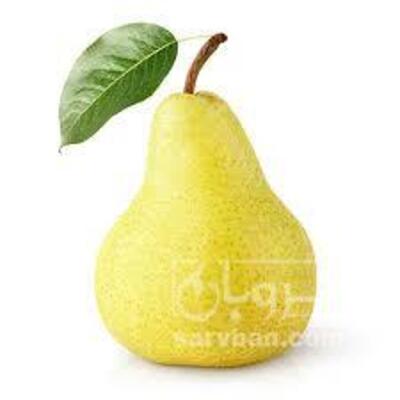 فروش گلابی