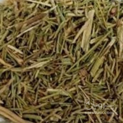 فروش خارشتر (گیاه‌ دارویی)