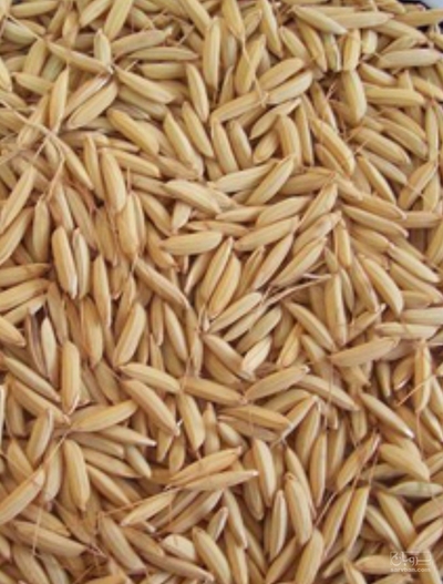 فروش برنج