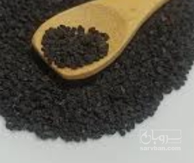 فروش ریحان بذری