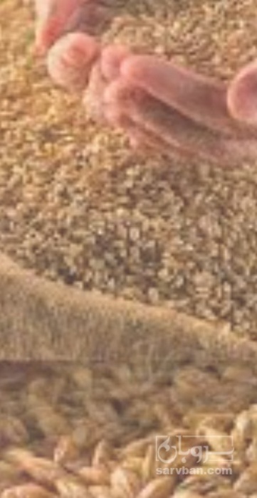 فروش جو