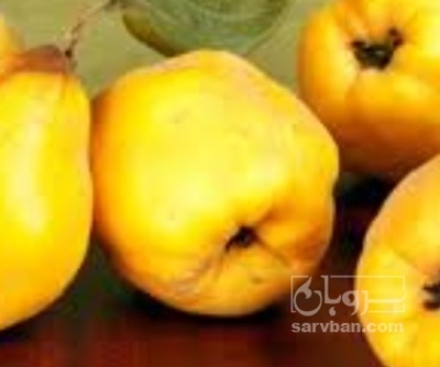 فروش به