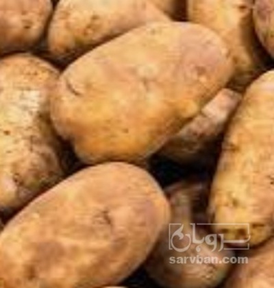 فروش سیب زمینی