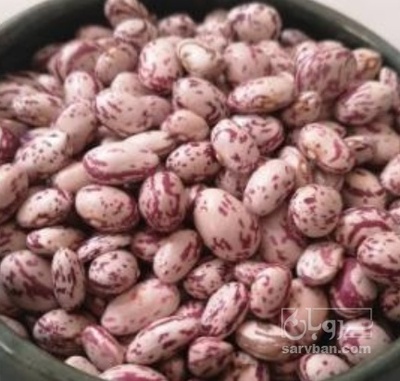 فروش لوبیا چیتی