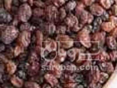 فروش کشمش تیزابی