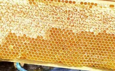 فروش عسل گون