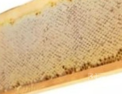 فروش عسل مرکبات