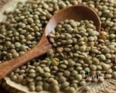 فروش عدس سبز