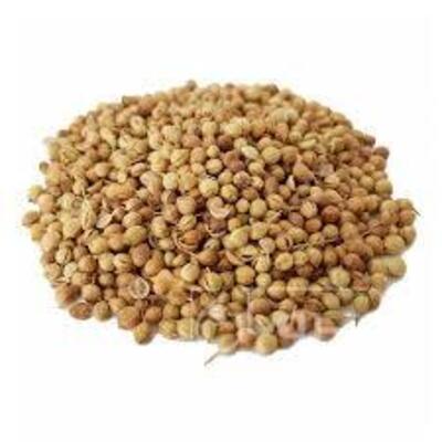 فروش تخم گشنیز (گیاه‌ دارویی)