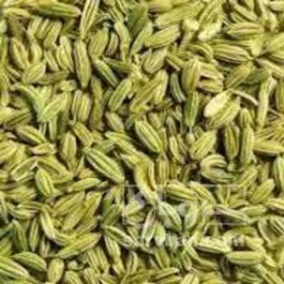 فروش بذررازیانه