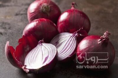 فروش پیاز قرمز