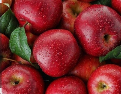 فروش سیب قرمز