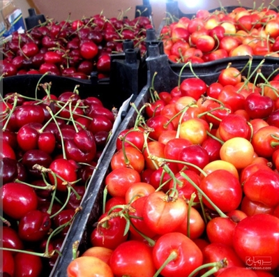 فروش گیلاس