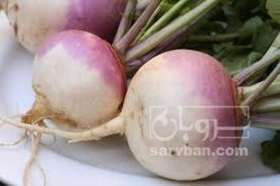 فروش شلغم