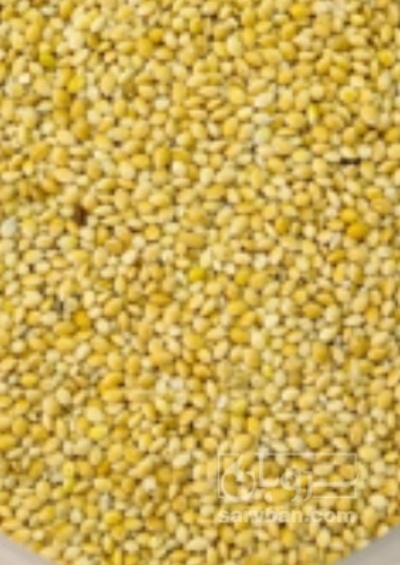فروش ارزن