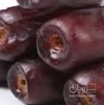 فروش خرما مضافتی