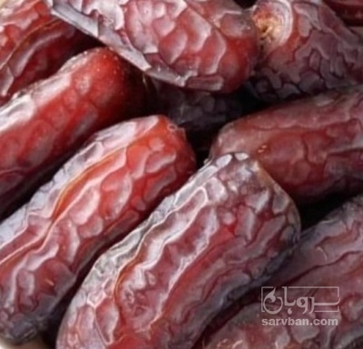 فروش خرما پیارم