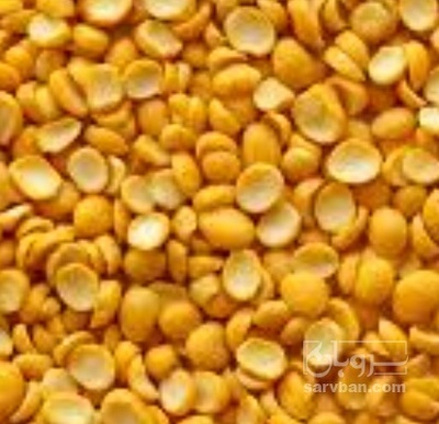 فروش نخود کفتری - لپه