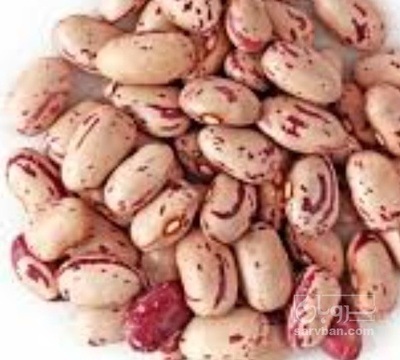 فروش لوبیا چیتی