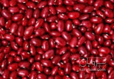 فروش لوبیا قرمز