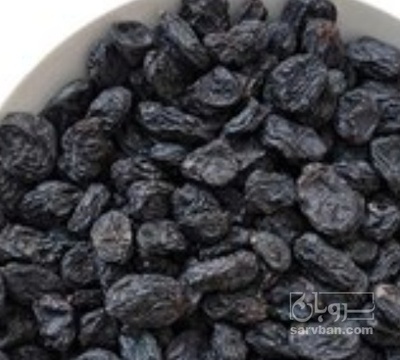 فروش مویز کاشمر