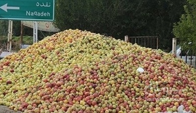فروش سیب زیر درختی