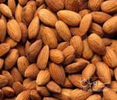 فروش مغز بادام درختی