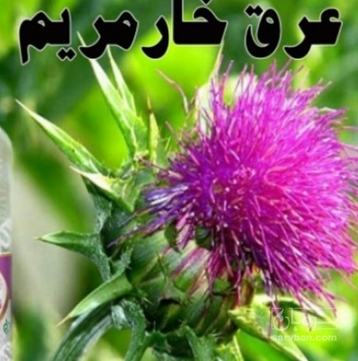 فروش عرق خارمریم