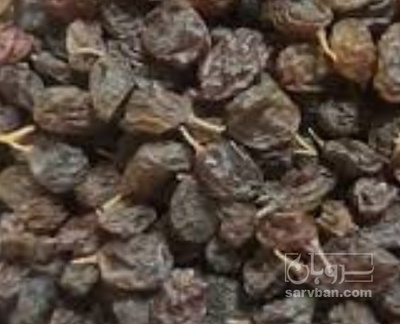 فروش کشمش ابگیری