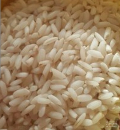 فروش برنج