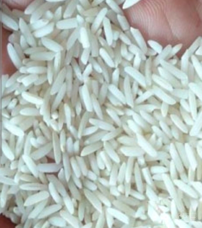 فروش برنج
