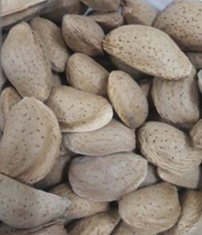 فروش بادام