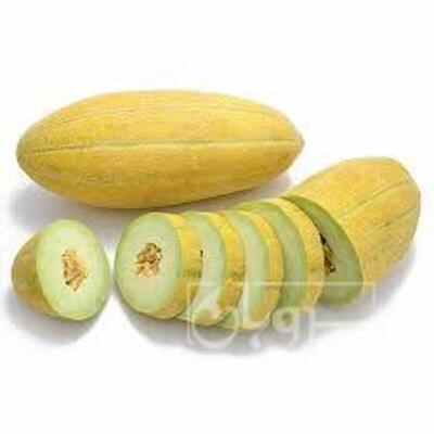 فروش خربزه
