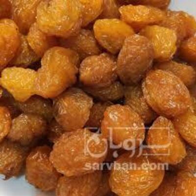 فروش آلوبخارا