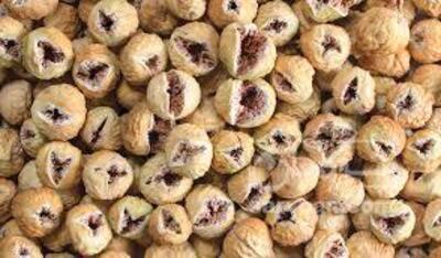 فروش انجیرخشک