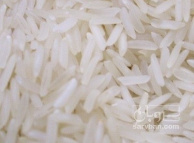 فروش برنج