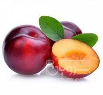 فروش آلو شابلون