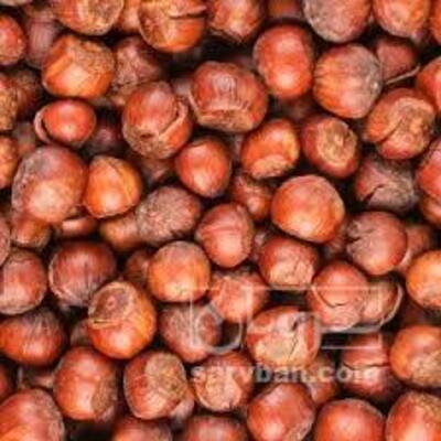 فروش فندق