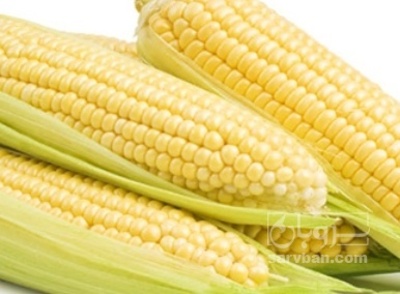 فروش ذرت مکزیکی