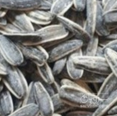 فروش تخمه آفتابگردان بود داده