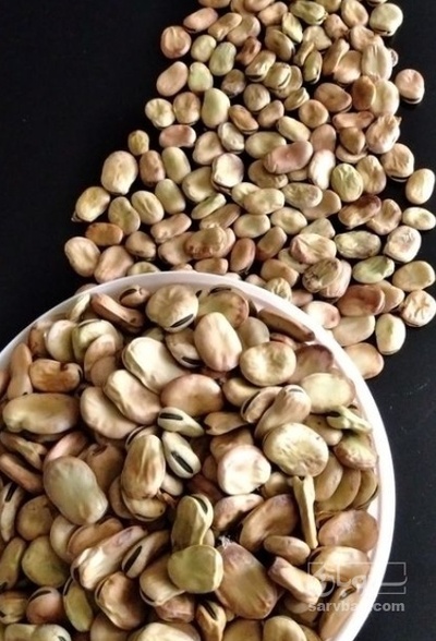 فروش باقلا تازه - باقالی - باقالا