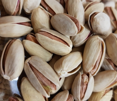 فروش پسته اکبری