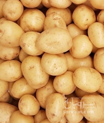 فروش سیب زمینی اگریا