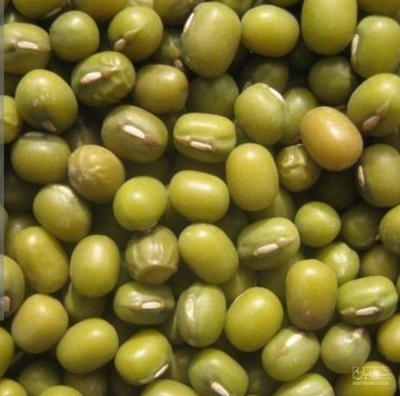 فروش ماش