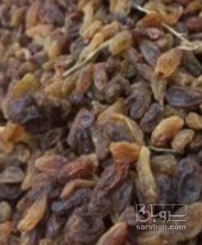 فروش کشمش شهد دار