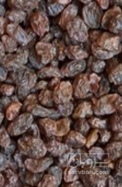 فروش کشمش آبگیری