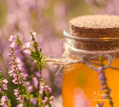 فروش عسل اویشن